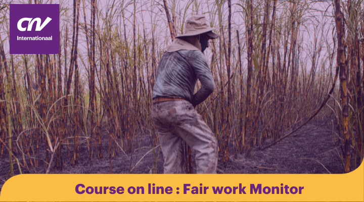 Fair Work Monitor Course