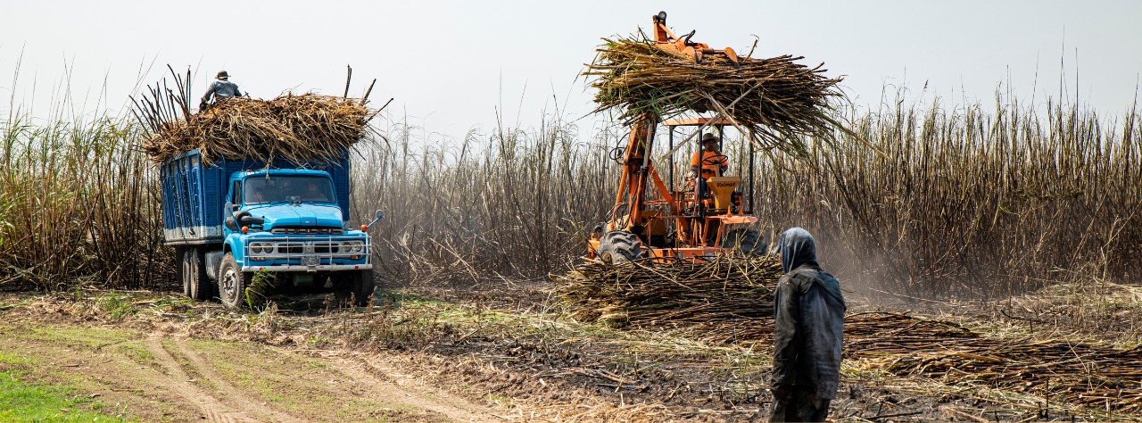 Fair Work Monitor Course
